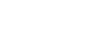 UBT Logo